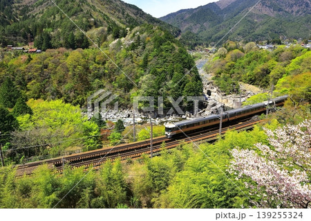 新緑の寝覚の床を行く中央本線 139255324