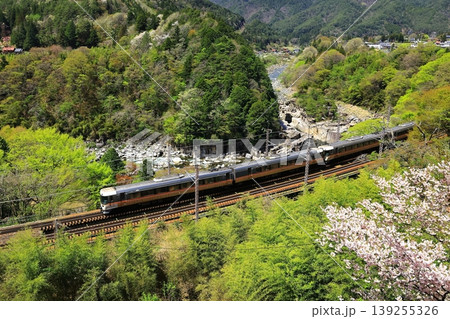 新緑の寝覚の床を行く中央本線 139255326