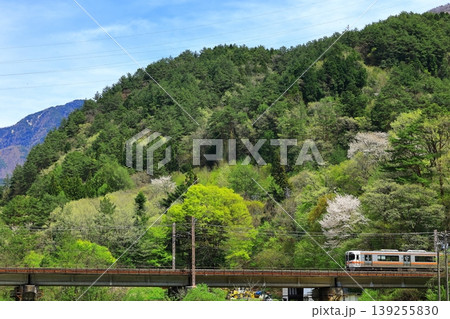 新緑の木曽路を行く中央本線 新緑の木曽路を行く中央本線 139255830