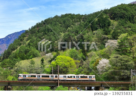 新緑の木曽路を行く中央本線 新緑の木曽路を行く中央本線 139255831