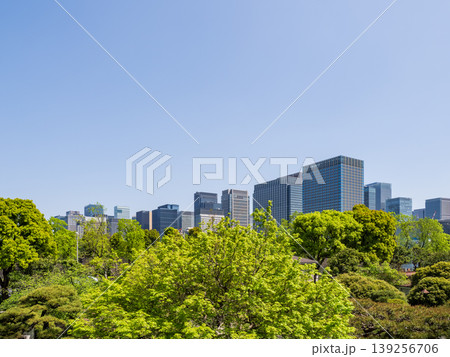 コピースペースのある初夏の都市景観 日比谷公園から望むビジネス街と青空 コピースペースのある初夏の都市景観 日比谷公園から望むビジネス街と青空 139256706