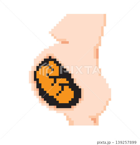 Pixel art of a fetus developing inside a pregnant woman's womb. Vector illustration. Pixel art of a fetus developing inside a pregnant woman's womb. Vector illustration. 139257899