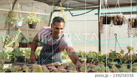 Selecting succulent adult male gardener in striped apron, examining pot in greenhouse with baskets Selecting succulent adult male gardener in striped apron, examining pot in greenhouse with baskets 139258338