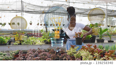 Greenhouse worker inspecting succulent on bench in shade with hanging pots using tablet hologram Greenhouse worker inspecting succulent on bench in shade with hanging pots using tablet hologram 139258340