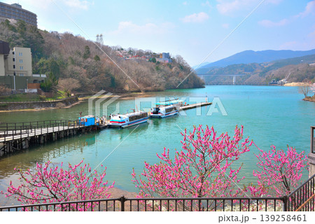 《岐阜県》満開の桜が咲く春の恵那峡 《岐阜県》満開の桜が咲く春の恵那峡 139258461