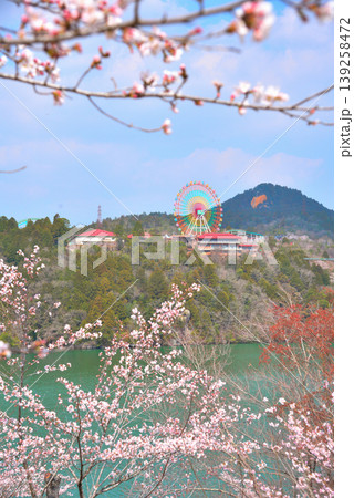 《岐阜県》満開の桜が咲く春の恵那峡 139258472