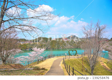 《岐阜県》満開の桜が咲く春の恵那峡 《岐阜県》満開の桜が咲く春の恵那峡 139258476