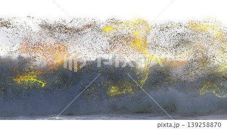 Swirling flock of starlings forming murmuration above cresting wave at shoreline with gold sunlight Swirling flock of starlings forming murmuration above cresting wave at shoreline with gold sunlight 139258870