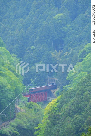 山間の赤い橋を渡ってトンネルに入っていく南海高野線のGRAN天空【和歌山県】 山間の赤い橋を渡ってトンネルに入っていく南海高野線のGRAN天空【和歌山県】 139259032