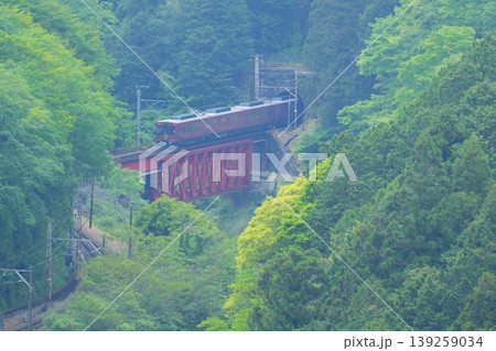 山間の赤い橋を渡ってトンネルに入っていく南海高野線のGRAN天空【和歌山県】 山間の赤い橋を渡ってトンネルに入っていく南海高野線のGRAN天空【和歌山県】 139259034