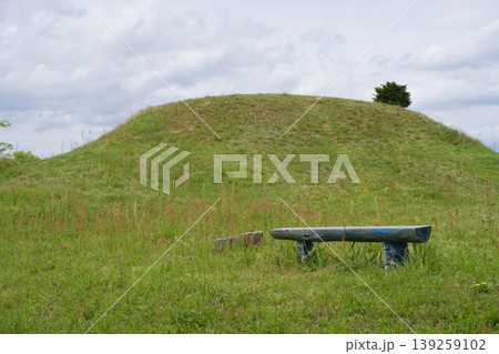 荒島古墳群 荒島古墳群 139259102