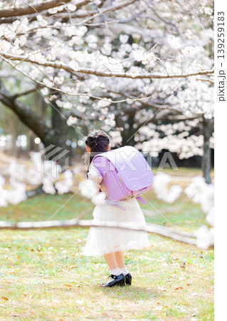 桜の下でランドセルを背負う小学生の女の子 139259183