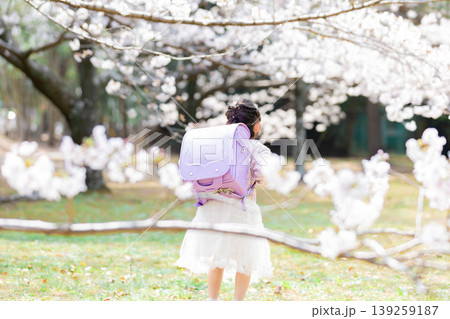 桜の下でランドセルを背負う小学生の女の子 桜の下でランドセルを背負う小学生の女の子 139259187