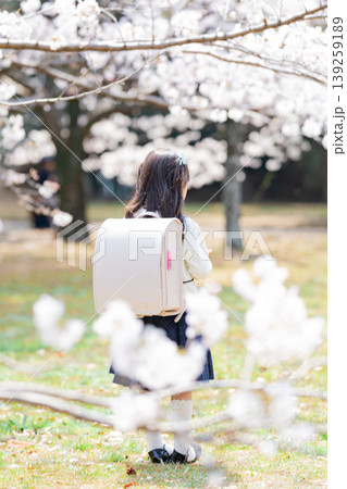 桜の下でランドセルを背負う小学生の女の子 桜の下でランドセルを背負う小学生の女の子 139259189