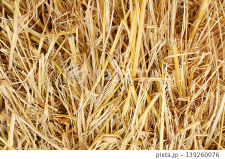 Dry straw texture for background and design art work, bales of cereal straw for cow and horse. 139260076
