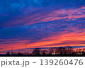 Majestic purple and orange sunset sky over dark forest silhouettes 139260476