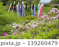 古代出雲王陵の丘と鯉のぼり 139260479