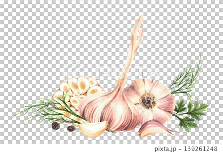 Watercolor Garlic whole bulb and cloves with black pepper corns, dill and parsley. Vegetables and herbs spices for culinary fragrant seasoning label, recipe. Illustration isolated from background. Watercolor Garlic whole bulb and cloves with black pepper corns, dill and parsley. Vegetables and herbs spices for culinary fragrant seasoning label, recipe. Illustration isolated from background. 139261248