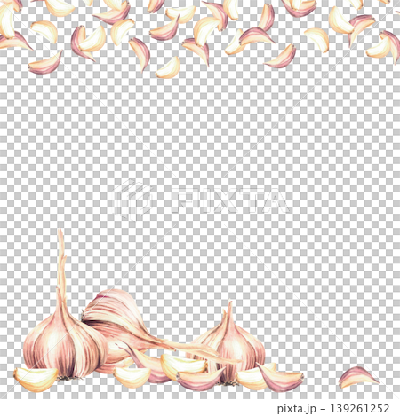 Watercolor Garlic frame. Vegetables whole bulb and cloves. Realistic hand drawn illustration isolated from background. Square template for culinary herb spice, seasoning label, food packaging design. Watercolor Garlic frame. Vegetables whole bulb and cloves. Realistic hand drawn illustration isolated from background. Square template for culinary herb spice, seasoning label, food packaging design. 139261252
