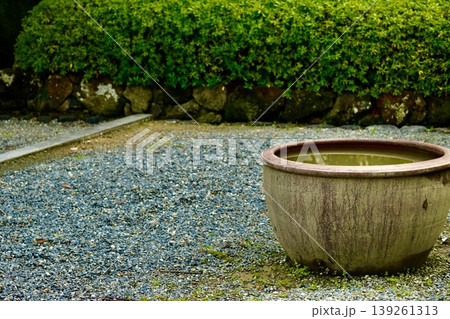緑のある庭 緑のある庭 139261313