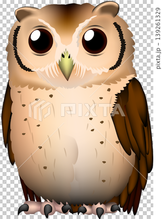 可愛的猛禽/野生鳥類/貓頭鷹插圖：“印度角鴞”，白色背景，單張圖片，向量格式。 139261329