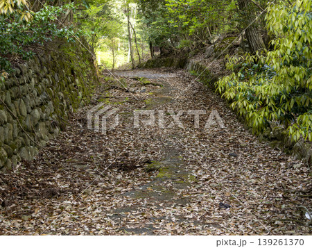 落葉に覆われた古い山道 落葉に覆われた古い山道 139261370