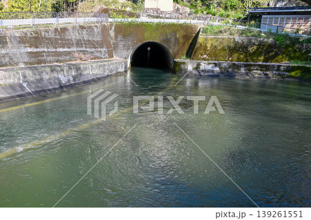 【京都】山科、琵琶湖疎水沿いの散策路、桜が満開でライトアップされていました。 139261551