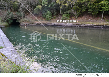 【京都】山科、琵琶湖疎水沿いの散策路、桜が満開でライトアップされていました。 【京都】山科、琵琶湖疎水沿いの散策路、桜が満開でライトアップされていました。 139261589