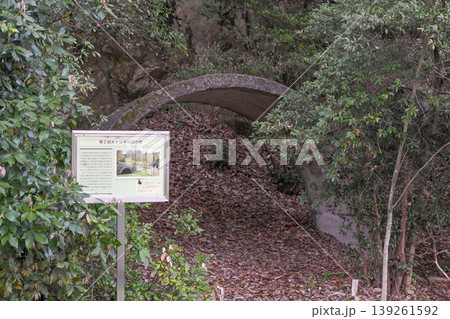 【京都】山科、琵琶湖疎水沿いの散策路、桜が満開でライトアップされていました。 【京都】山科、琵琶湖疎水沿いの散策路、桜が満開でライトアップされていました。 139261592