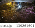 【京都】山科、琵琶湖疎水沿いの散策路、桜が満開でライトアップされていました。 139261601