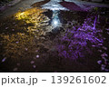 【京都】山科、琵琶湖疎水沿いの散策路、桜が満開でライトアップされていました。 139261602