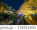 【京都】山科、琵琶湖疎水沿いの散策路、桜が満開でライトアップされていました。 139261603
