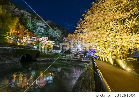 【京都】山科、琵琶湖疎水沿いの散策路、桜が満開でライトアップされていました。 【京都】山科、琵琶湖疎水沿いの散策路、桜が満開でライトアップされていました。 139261604