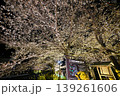 【京都】山科、琵琶湖疎水沿いの散策路、桜が満開でライトアップされていました。 139261606