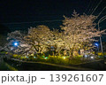 【京都】山科、琵琶湖疎水沿いの散策路、桜が満開でライトアップされていました。 139261607