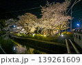 【京都】山科、琵琶湖疎水沿いの散策路、桜が満開でライトアップされていました。 139261609