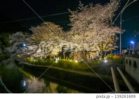 【京都】山科、琵琶湖疎水沿いの散策路、桜が満開でライトアップされていました。 【京都】山科、琵琶湖疎水沿いの散策路、桜が満開でライトアップされていました。 139261609