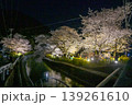 【京都】山科、琵琶湖疎水沿いの散策路、桜が満開でライトアップされていました。 139261610