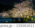 【京都】山科、琵琶湖疎水沿いの散策路、桜が満開でライトアップされていました。 139261611