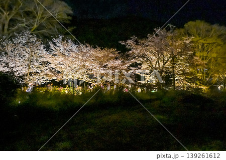 【京都】山科、琵琶湖疎水沿いの散策路、桜が満開でライトアップされていました。 【京都】山科、琵琶湖疎水沿いの散策路、桜が満開でライトアップされていました。 139261612