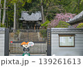 【京都】山科、琵琶湖疎水沿いの散策路、桜が満開でライトアップされていました。 139261613