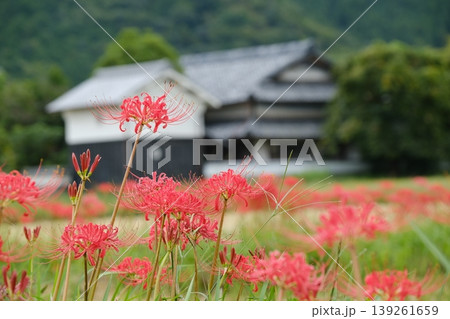 亀岡市の初秋の風景 139261659