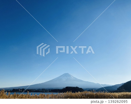 Mount Fuji with pampas grass under vast blue sky, clean minimal landscape in Japan 139262095