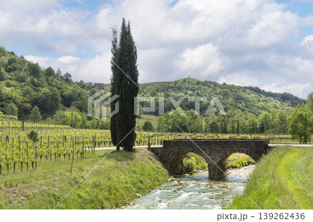 Bridge over a small stream among the vineyards and hills of Slovenia's Brda region Bridge over a small stream among the vineyards and hills of Slovenia's Brda region 139262436
