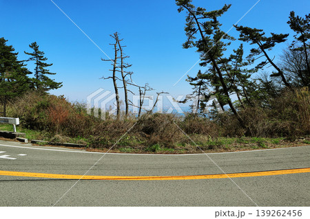 六甲山の車道(兵庫県) 六甲山の車道(兵庫県) 139262456