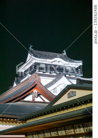 ライトアップに浮かび上がる岡崎城の夜景 ライトアップに浮かび上がる岡崎城の夜景 139262486