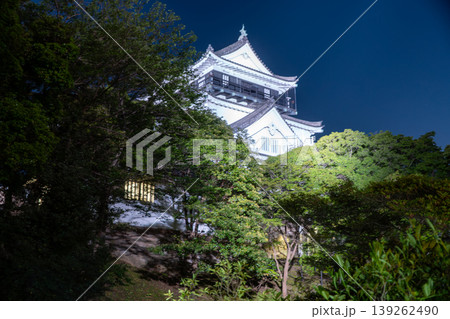 ライトアップに浮かび上がる岡崎城の夜景 139262490