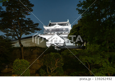 ライトアップに浮かび上がる岡崎城の夜景 ライトアップに浮かび上がる岡崎城の夜景 139262492