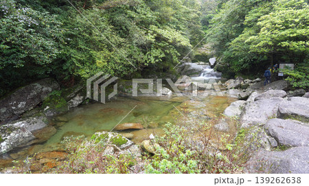 白谷雲水峡 屋久島 白谷雲水峡 屋久島 139262638