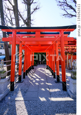 蛇窪神社の中にある赤い鳥居 蛇窪神社の中にある赤い鳥居 139262811